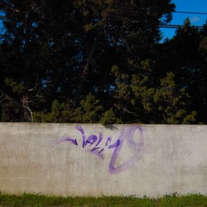 DSCN2120.JPG