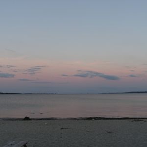 DSC07476.JPG