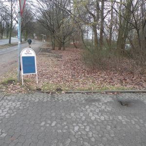 DSCN1050 (1).jpg