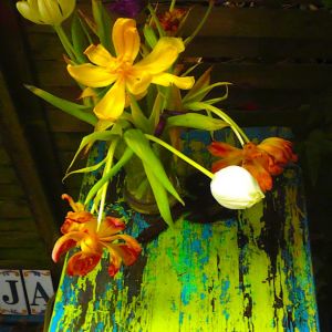 P1020054.jpg