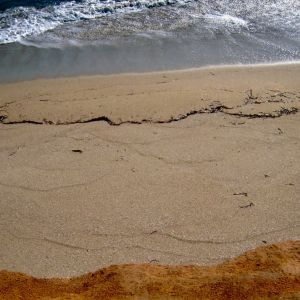 DSCN2029.JPG