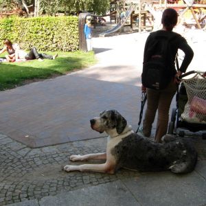 DSCN0803.JPG