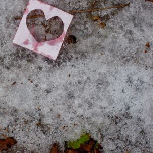 DSCN3353.JPG