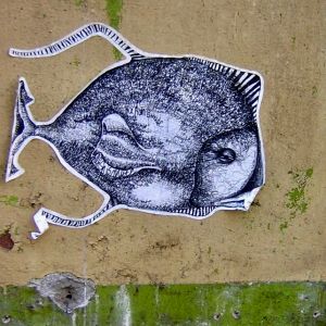 FISH.jpg