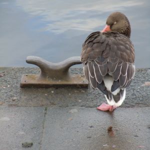 DSCN4269.JPG