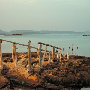 DSCN2398.JPG