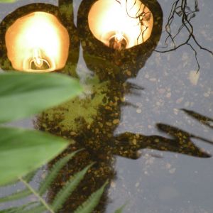 DSCN1193.JPG