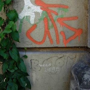 DSCN0524.JPG