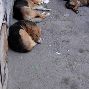DSCN2332.JPG